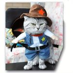 Small to Medium Cute Cowboy Pet Costume for Dogs and Cats - Woven Polyester Pullover with Polyester Fill, Perfect for Christmas and Halloween Dress Up, Cowboy Theme Patterned Outfit with Hat
