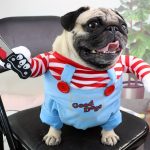 Funny Transformation Costume for Dogs and Cats, Polyester Pet Clothes with Tether, Medium Breed Recommendation, Woven Winter Apparel