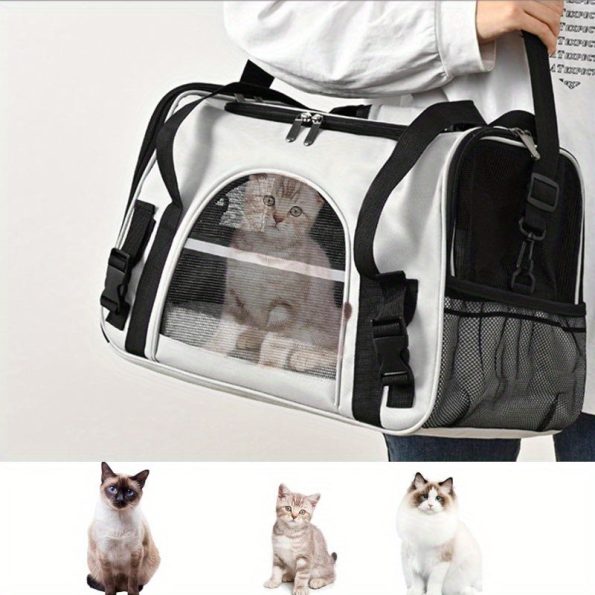 9b27f7df763446aabcf930274bc7d209-goods